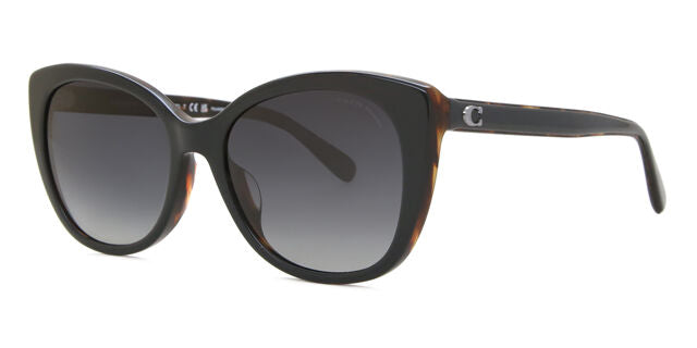 COACH OHC8365U 5764T3 55