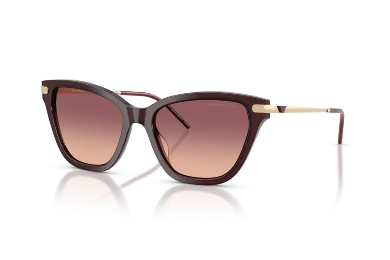 EMPORIO ARMANI EA4251