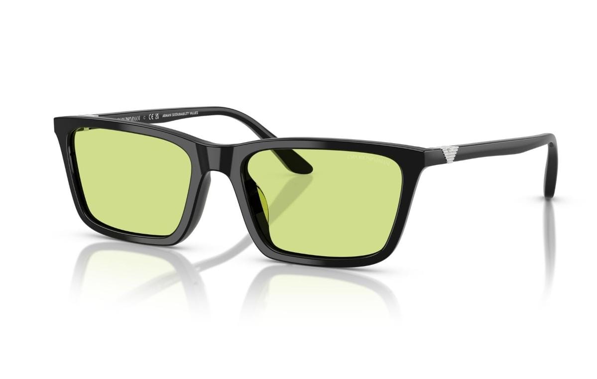 EMPORIO ARMANI EA4239U