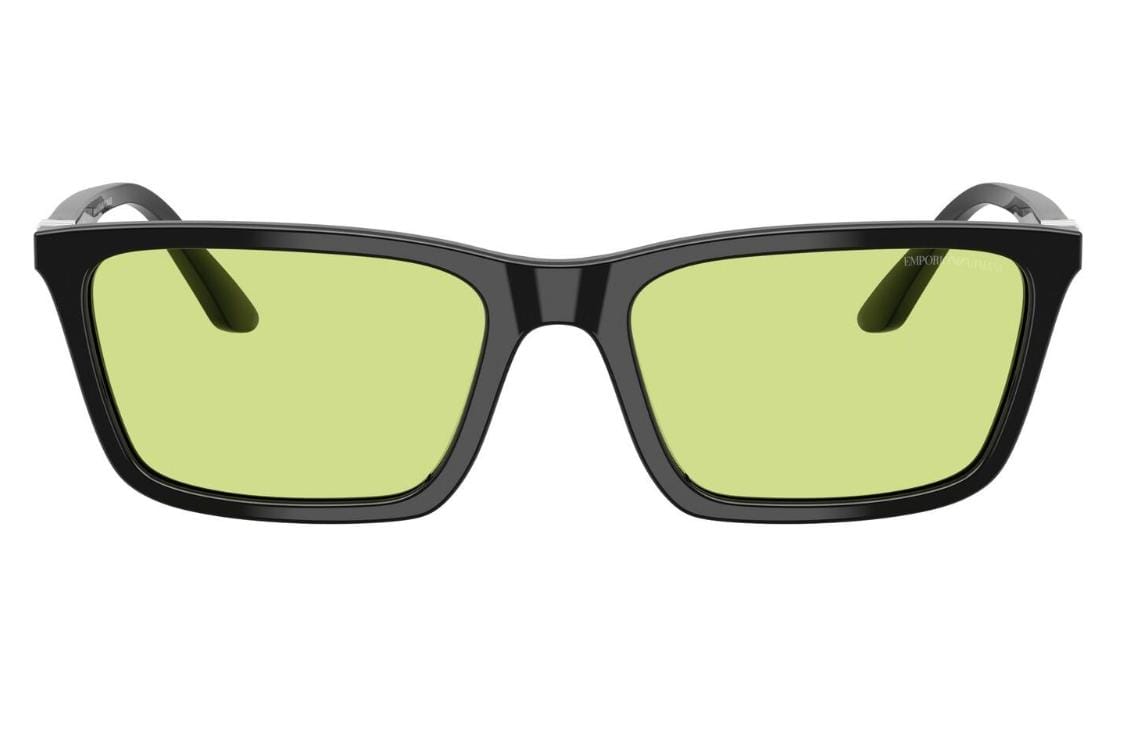 EMPORIO ARMANI EA4239U