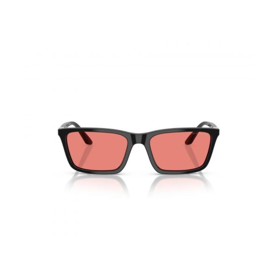 EMPORIO ARMANI EA4239U