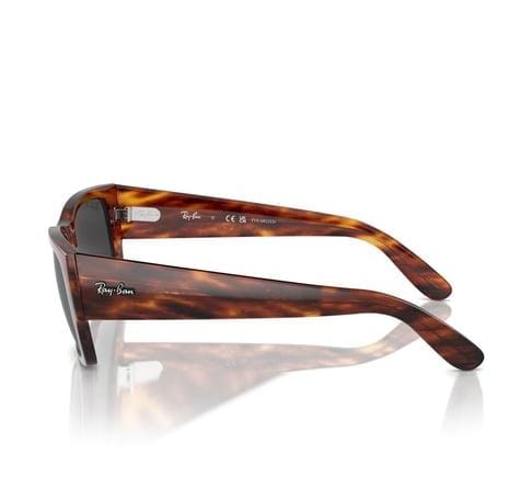 RAYBAN RB0947S