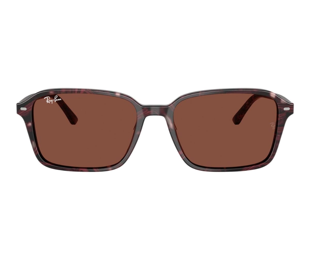 RAYBAN 2231