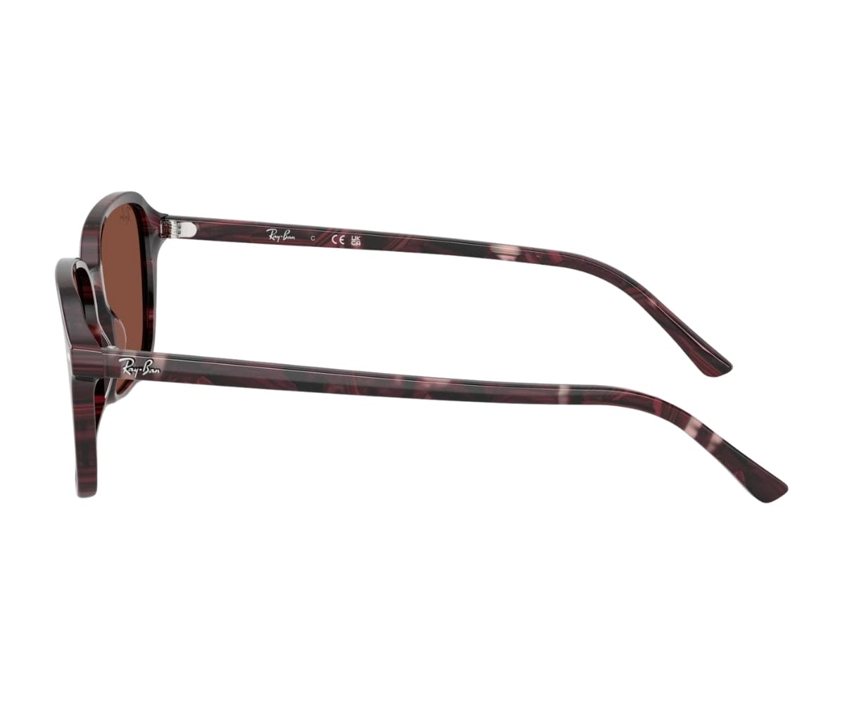 RAYBAN 2231