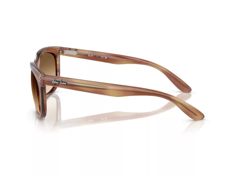 RAYBAN 2289