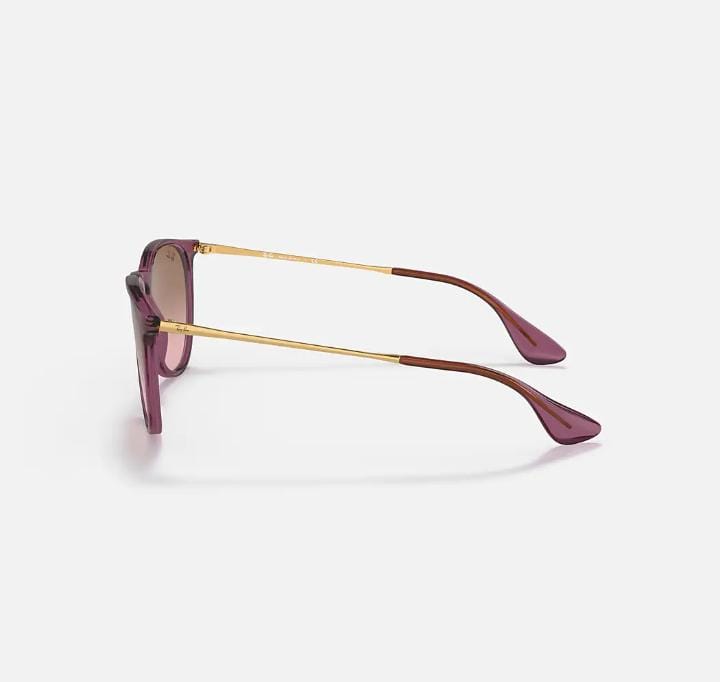 RAYBAN RB4171 54 Erika