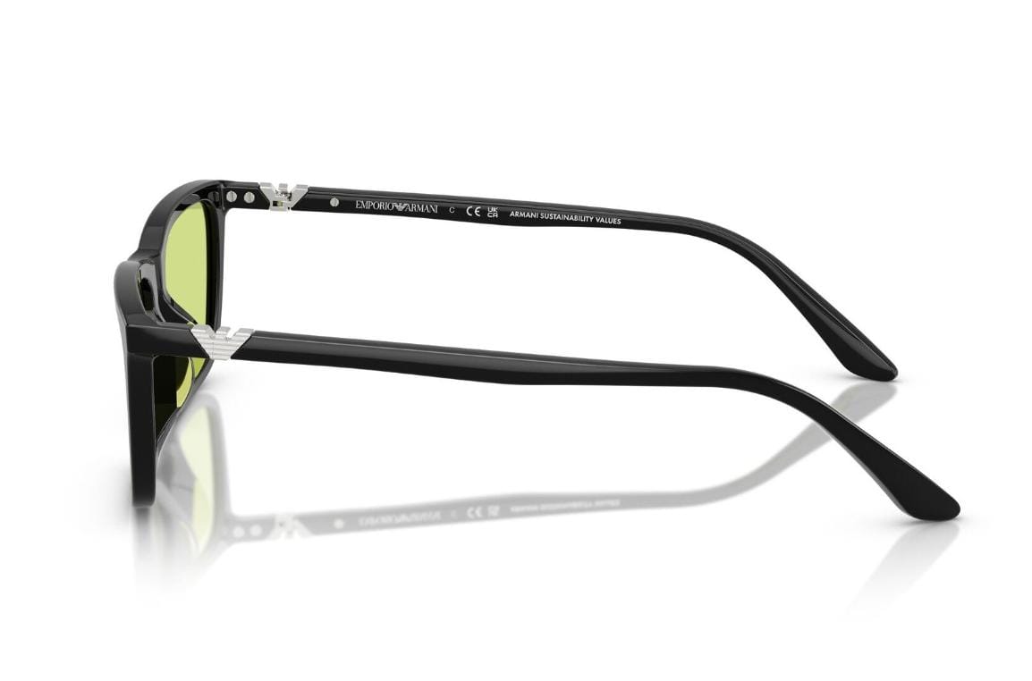 EMPORIO ARMANI EA4239U